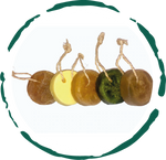 Artisanal Soap Collection