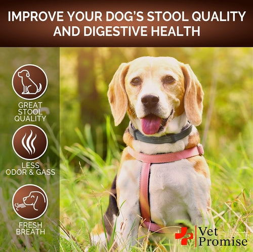 Great Poop Dog Probiotics - Fiber Supplement for Digestive Health & Stool Support