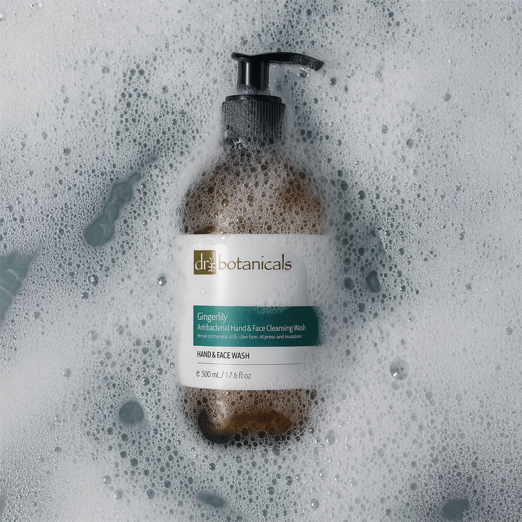 Gingerlily Antibacterial Hand & Face Cleansing Wash 500ml by skinChemists US