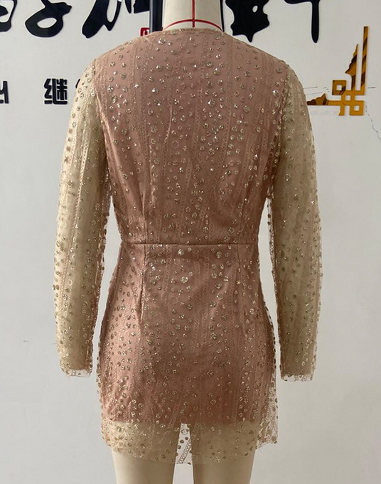 Women Clothing Dress Deep V Plunge See through Long Sleeve Short Dress Gold Dress by Ragazza