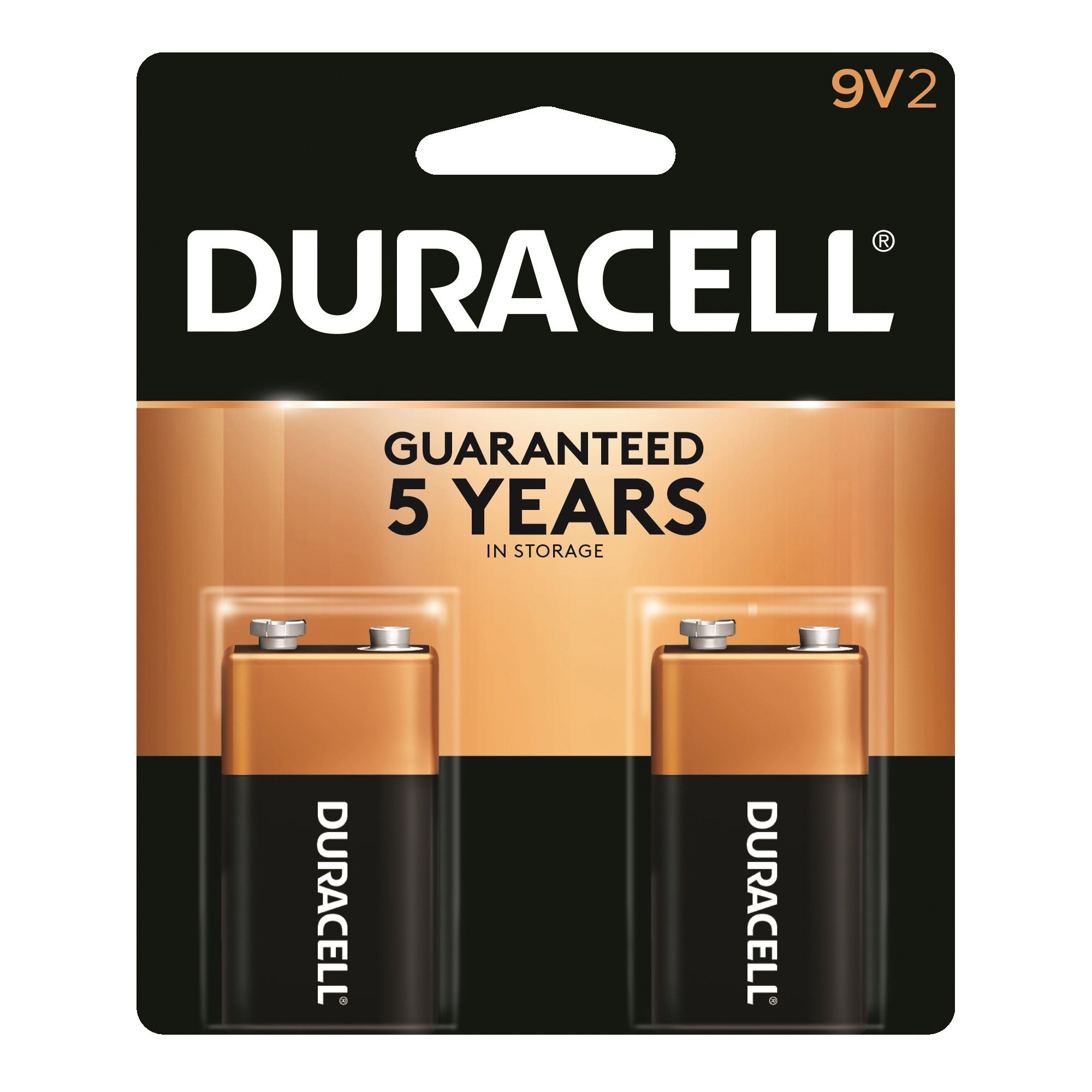 Duracell Coppertop 9V Batteries - 2pk Alkaline Battery by Pasteur Pharmacy