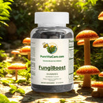 Mushroom Extract Complex