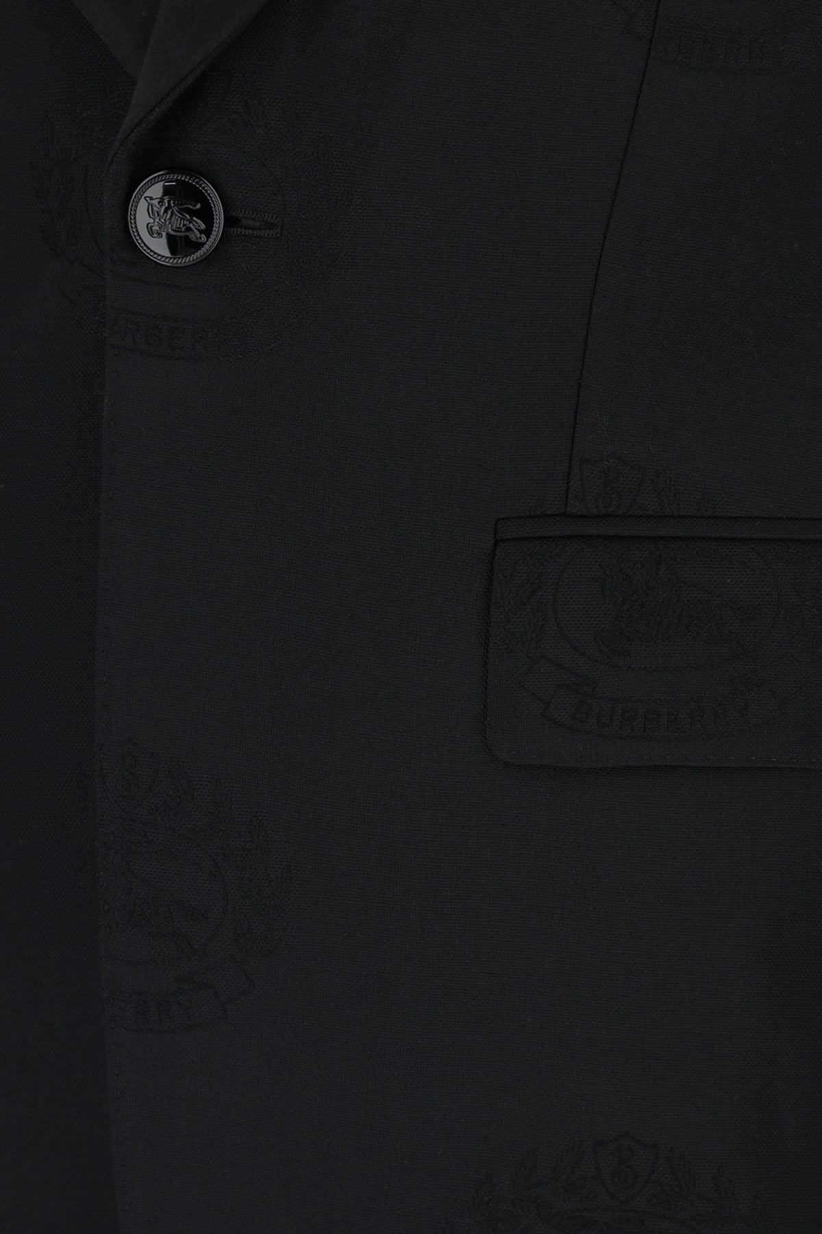 Burberry Men Giacca DestGlow