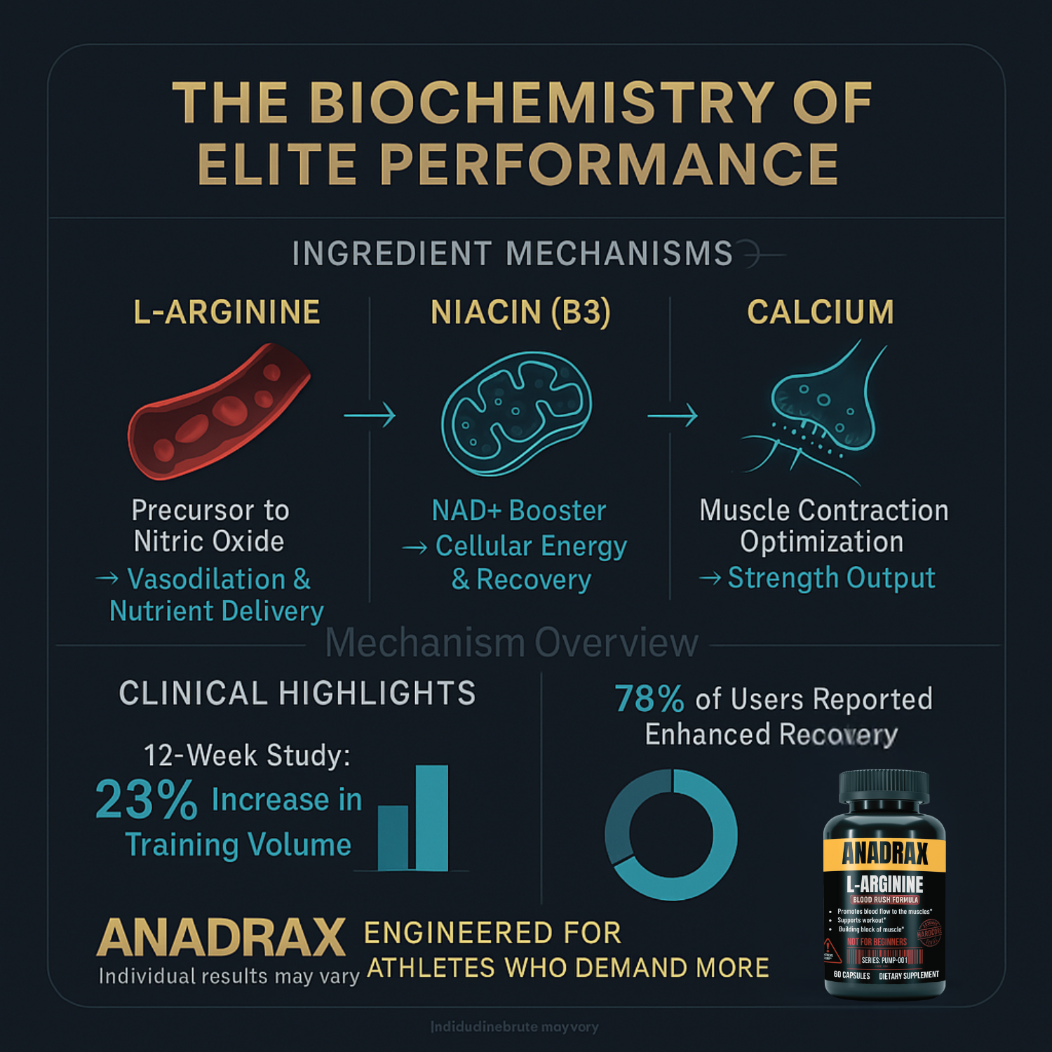 ANADRAX: Circulation Complex | 60 Capsules - L-Arginine, Niacin & Nitric Oxide Support for Active Lifestyles