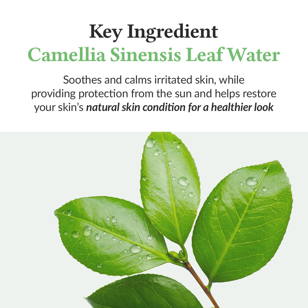 Dr. Althea Green Tea Fresh Sunscreen SPF50+ PA++++ DestGlow