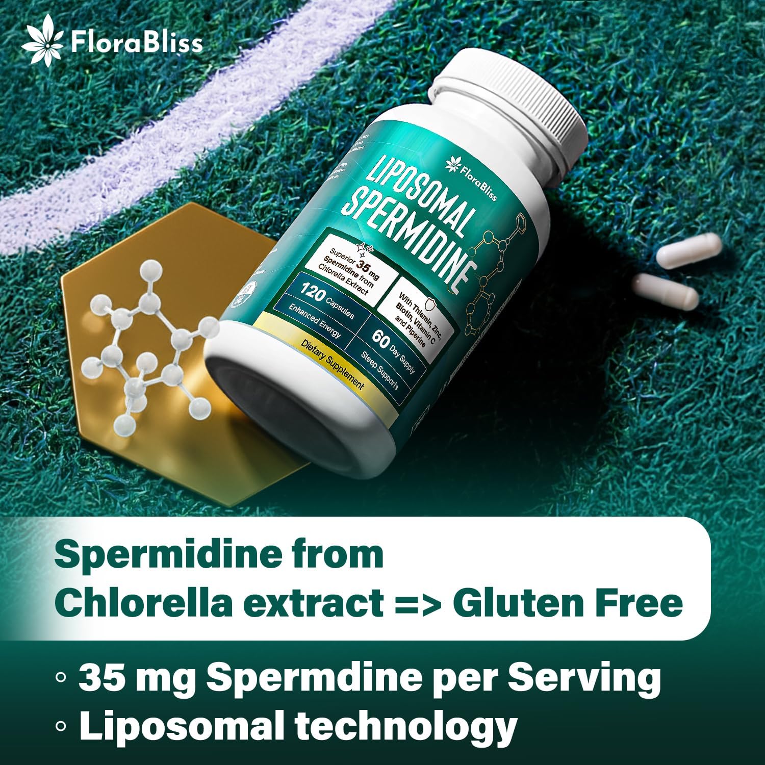 Spermidine Supplement from Chlorella with Thiamin, Zinc, Biotin, & Vitamin C | 120 Capsules | Gluten-Free for Cellular Renewal, Healthy Aging & Vitality Support | 60-Day Supply by FreshDrinkUS - Natural and Premium Herbal Tea