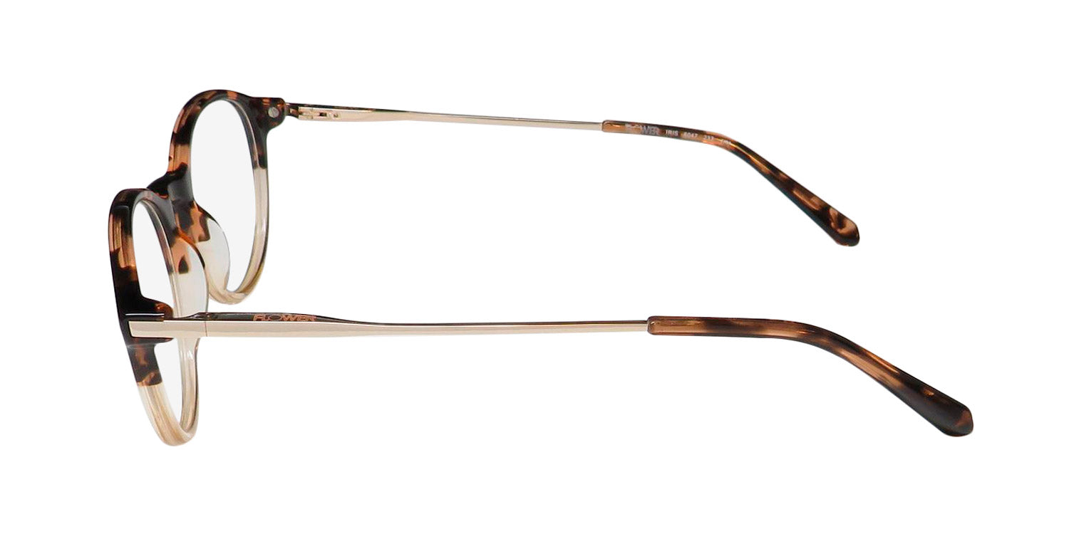 Flower 6047 Iris Eyeglasses by ModaFrames