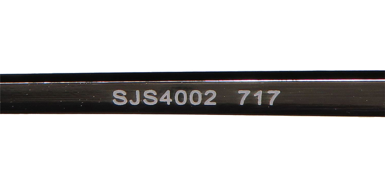 Sean John Sjs4002 Sunglasses - DestGlow