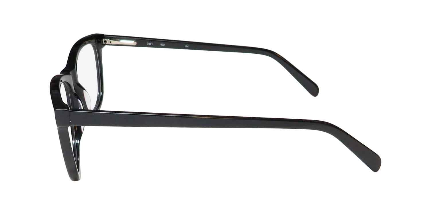 Prive 3001 Eyeglasses