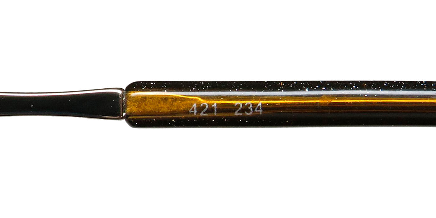 Platinum 421 Eyeglasses by ModaFrames
