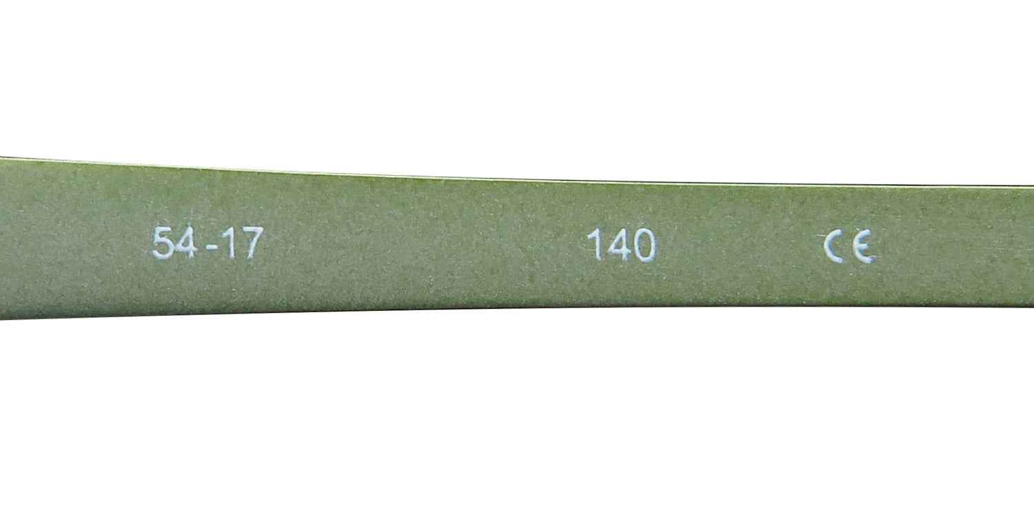 TiFlex 1705 Eyeglasses