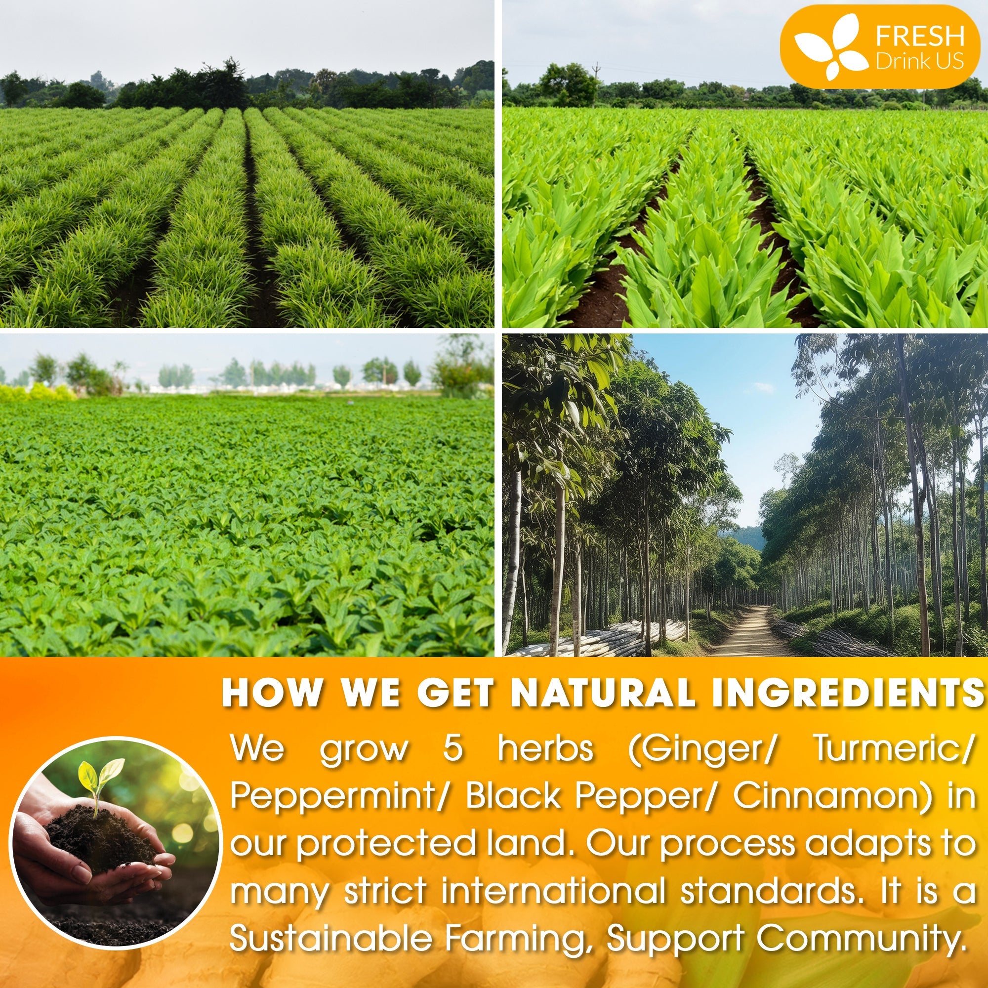 Anti-Inflammaheb Loose Leaf Tea, 100% Natural from Ginger, Turmeric, Peppermint, Black Pepper, Cinnamon by FreshDrinkUS - Natural and Premium Herbal Tea