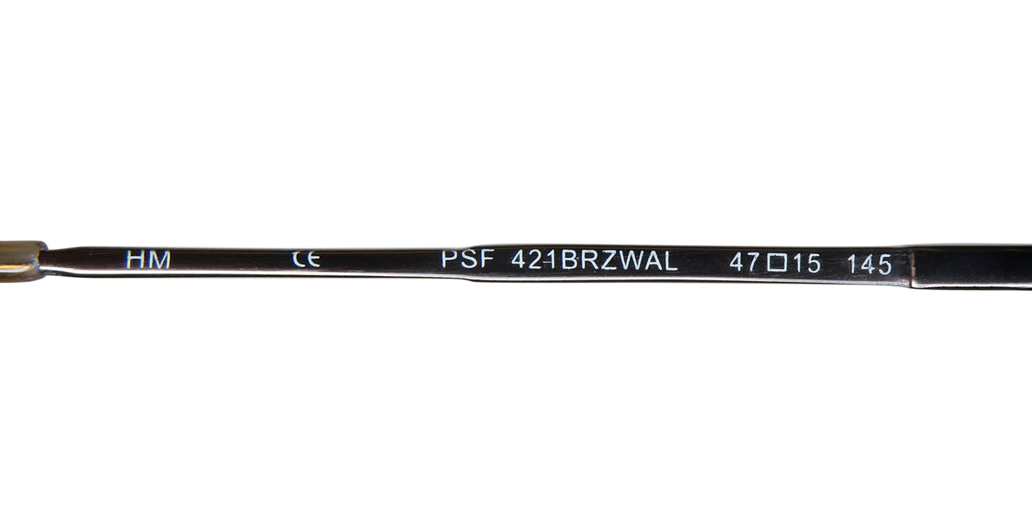 SmartFlip 421-1 Eyeglasses DestGlow