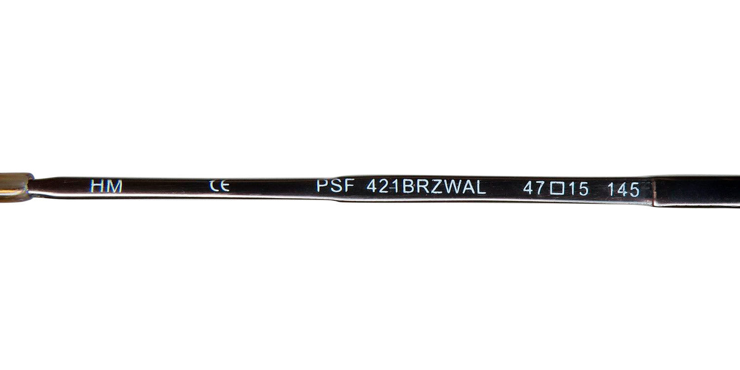 SmartFlip 421-1 Eyeglasses DestGlow
