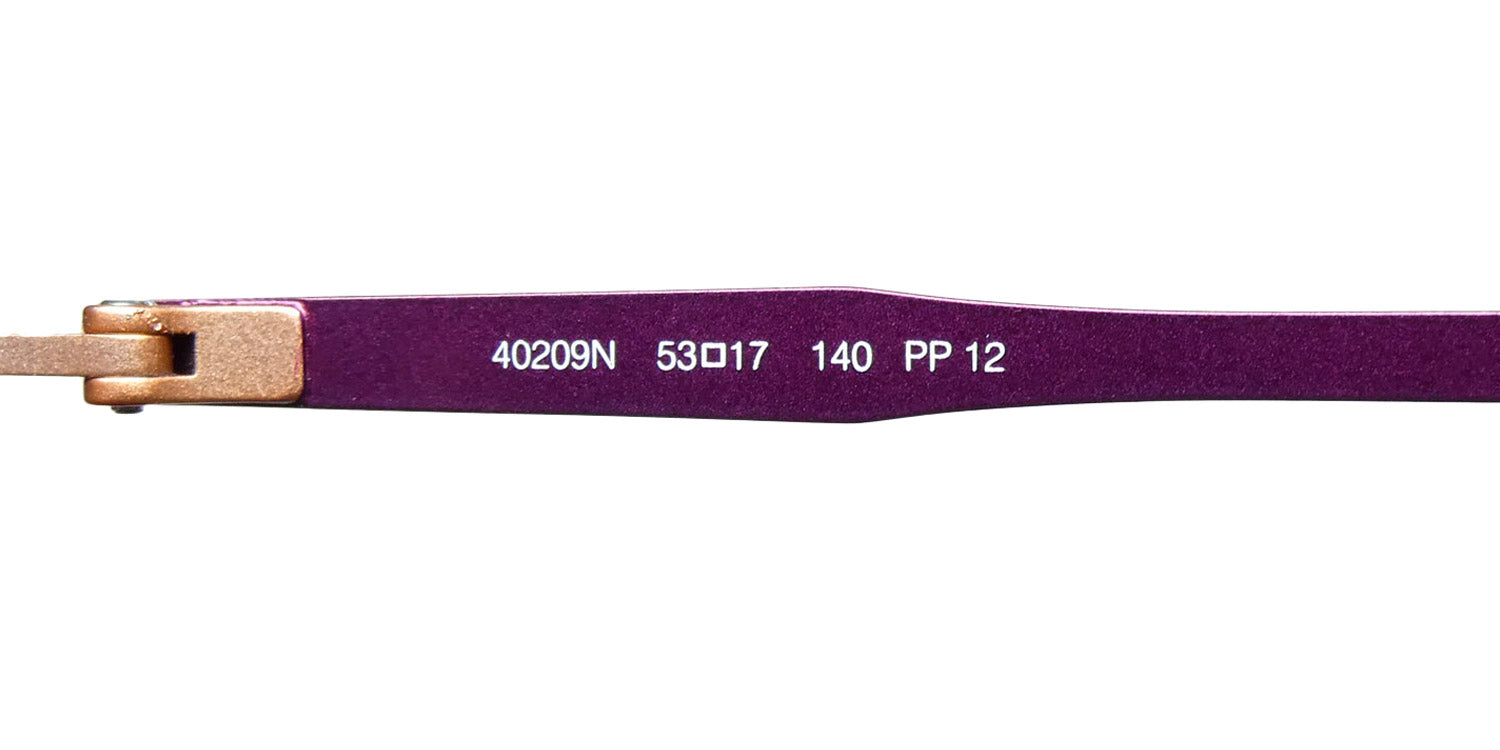Morel Nomad 40209n Eyeglasses by ModaFrames