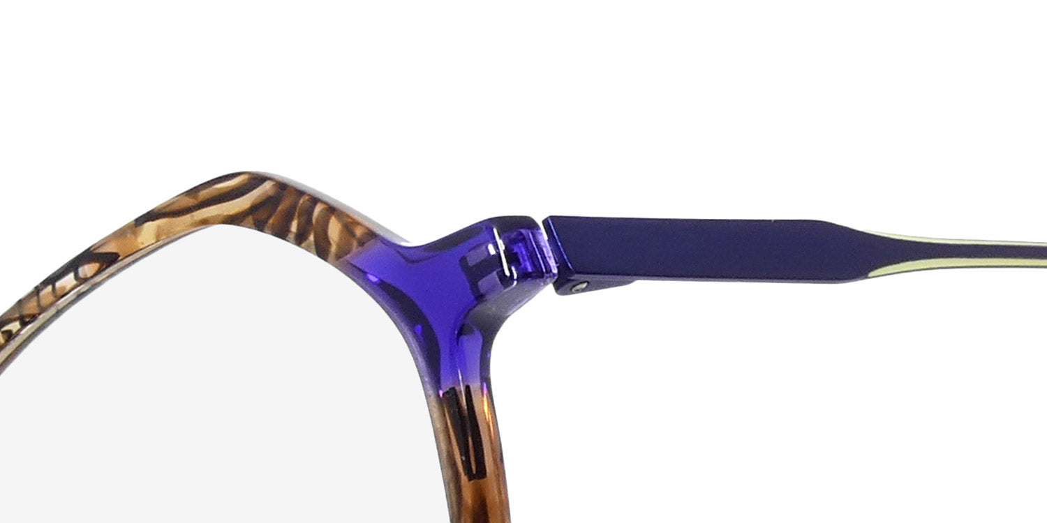 Morel Nomad 40203n Eyeglasses by ModaFrames