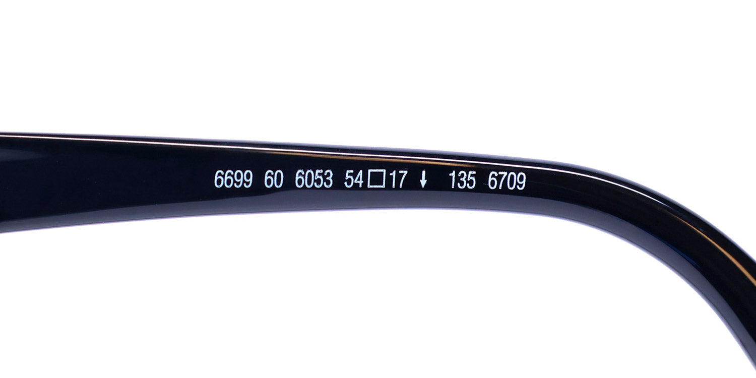 Silhouette 6699/60 Eyeglasses by ModaFrames