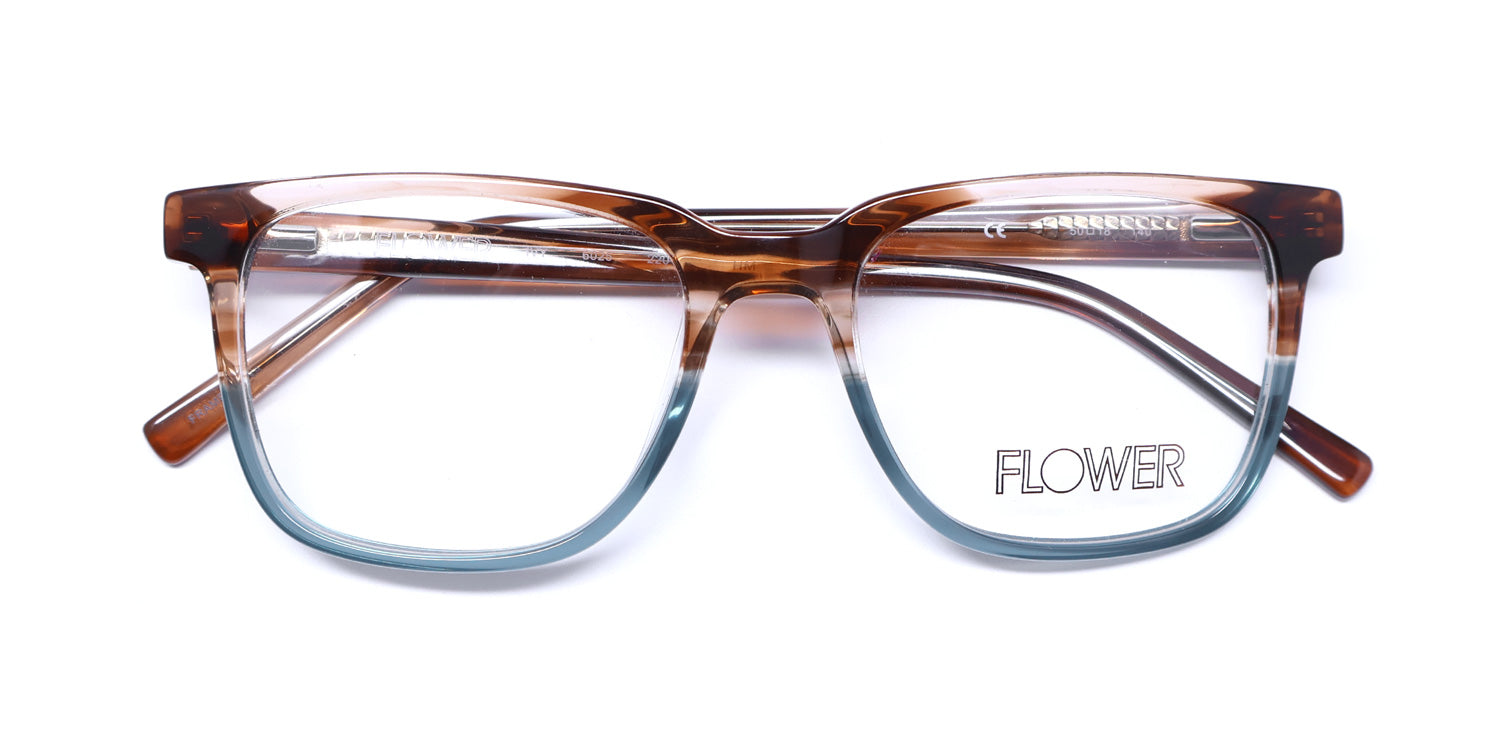 Flower 6025 Ivy Eyeglasses by ModaFrames