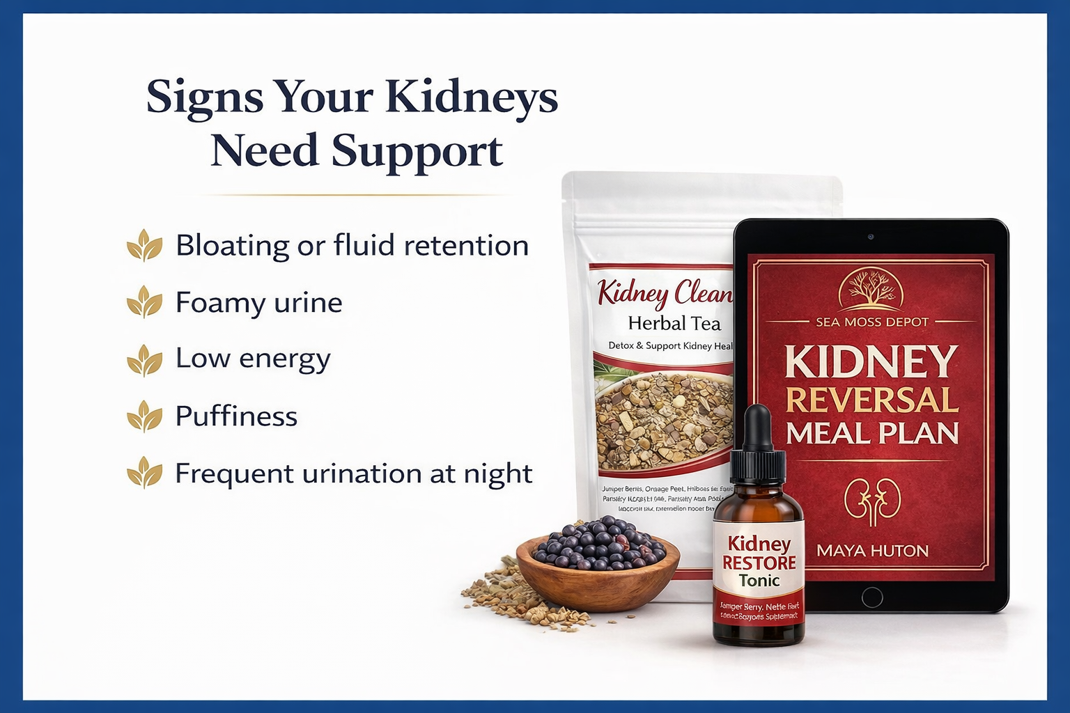 Reclaim Your Kidneys Bundle – Kidney Disease Naturally (Stages 1-5) and Diabetes by Seamoss depot