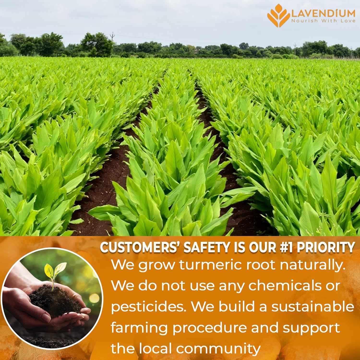 Turmeric Powder, 100% Natural & Pure, Ground, Seasoning Root Powder, No Additives, No Gluten, Vegan