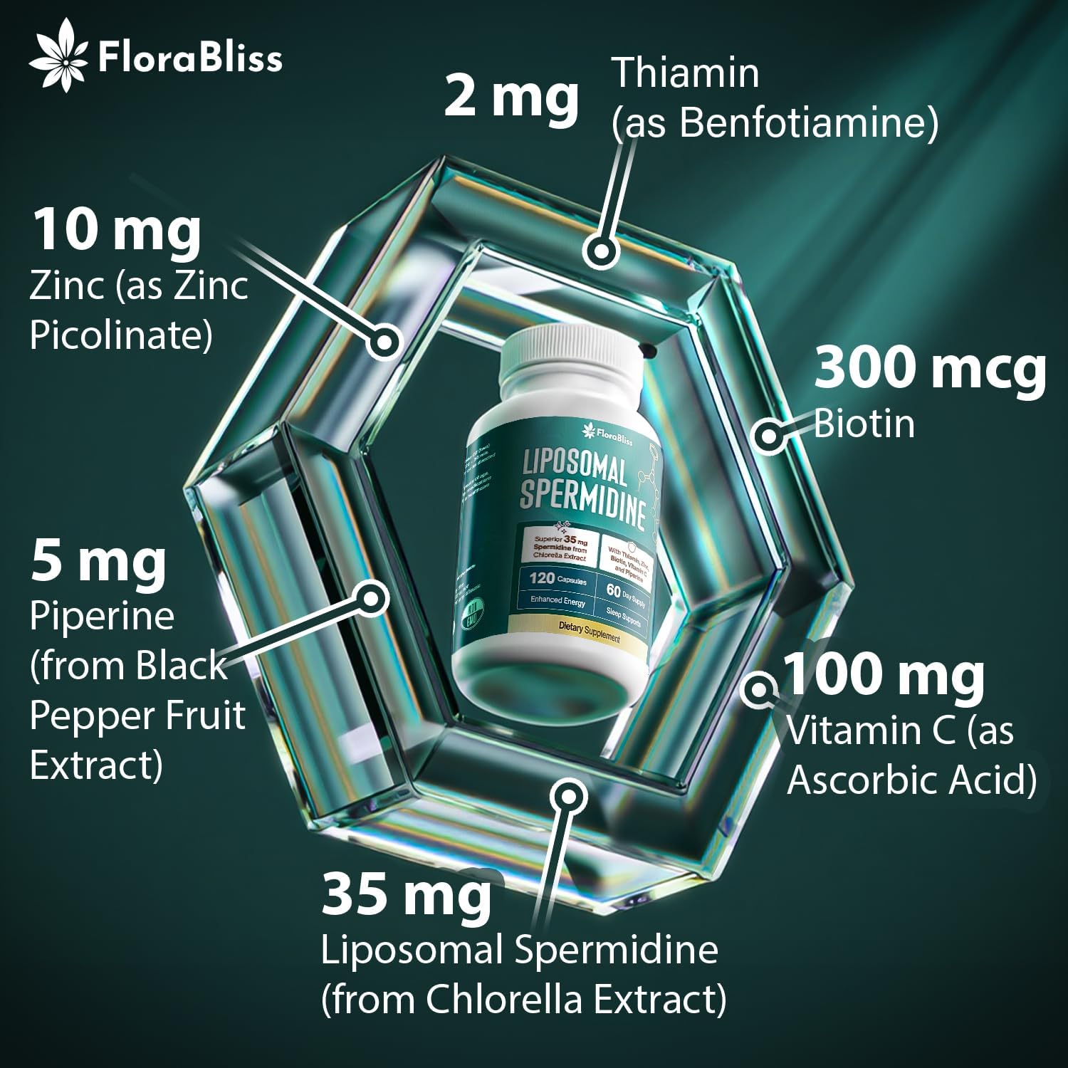 Spermidine Supplement from Chlorella with Thiamin, Zinc, Biotin, & Vitamin C | 120 Capsules | Gluten-Free for Cellular Renewal, Healthy Aging & Vitality Support | 60-Day Supply by FreshDrinkUS - Natural and Premium Herbal Tea