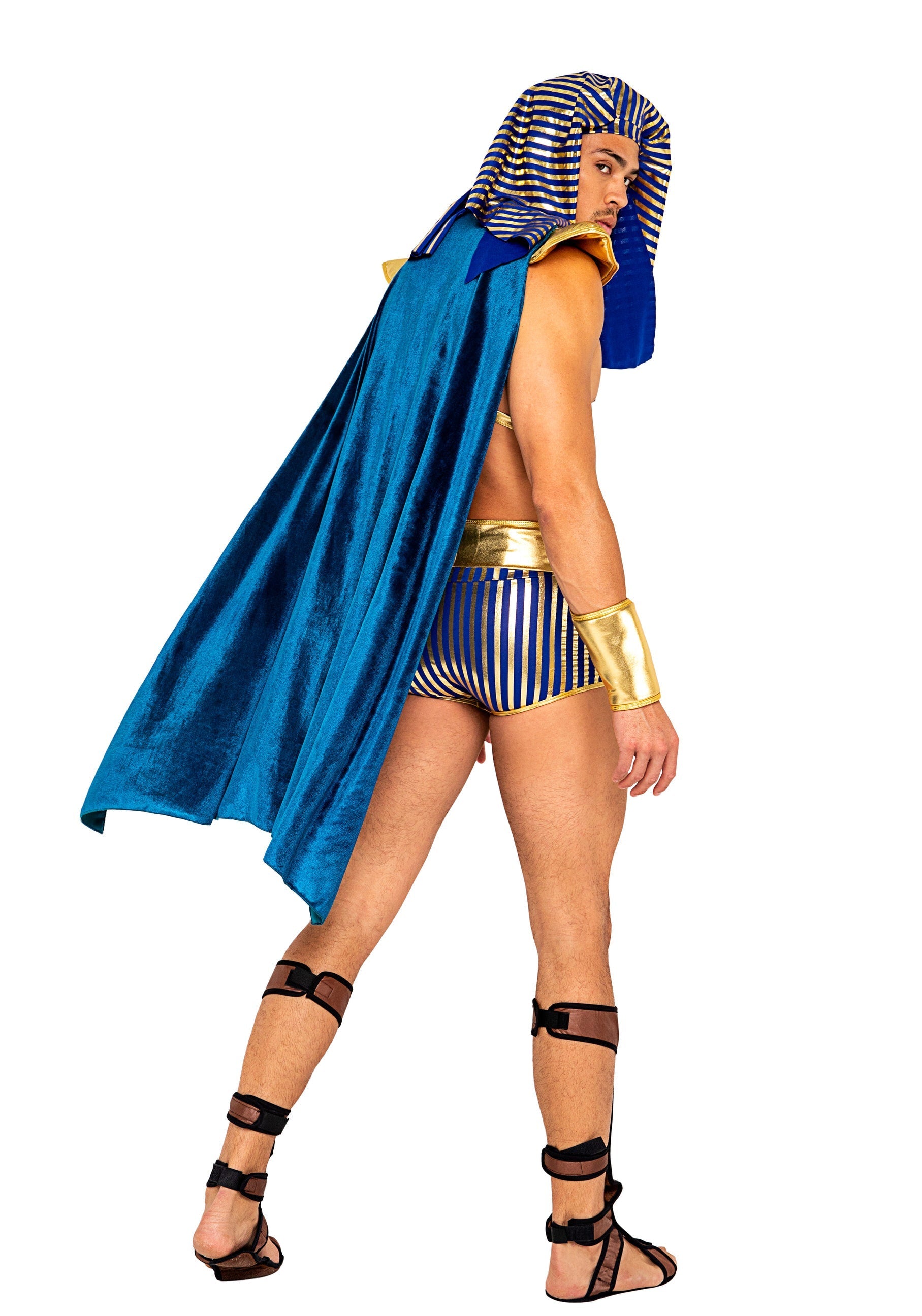Mens King Pharaoh of Egypt Costume - DestGlow