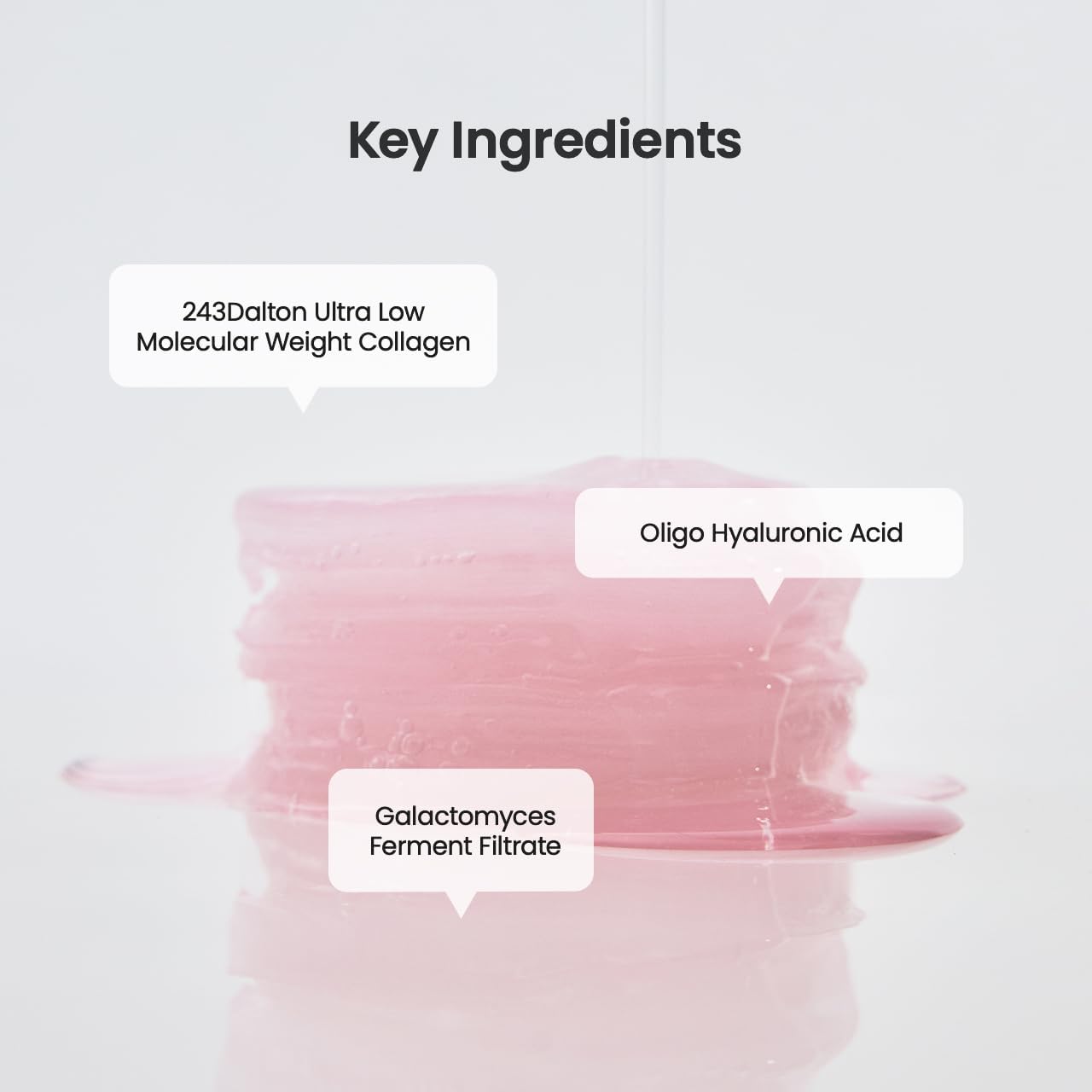 Biodance Collagen Gel Toner Pads by AsiaBeautyMall