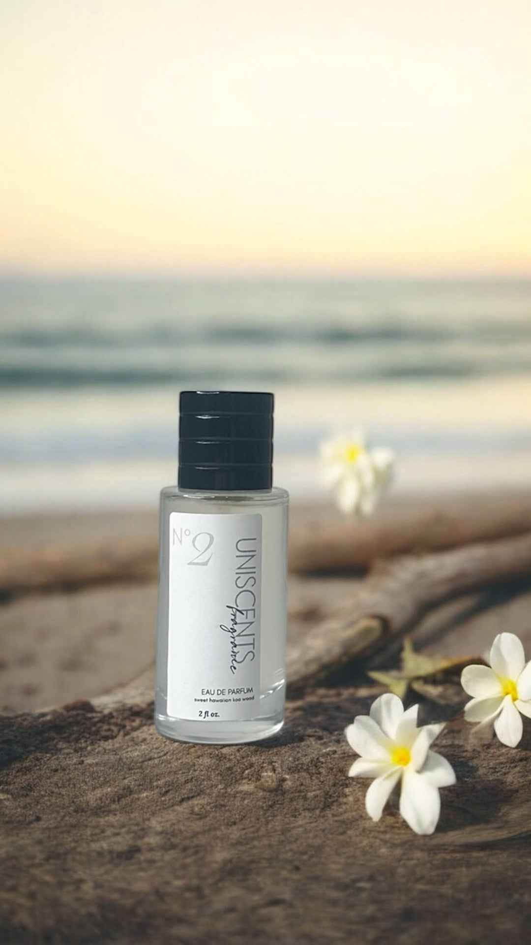 Artisan Perfume & Cologne Spray – 2oz Unisex Fragrance, Gender Neutral by Moon Water Apothecary