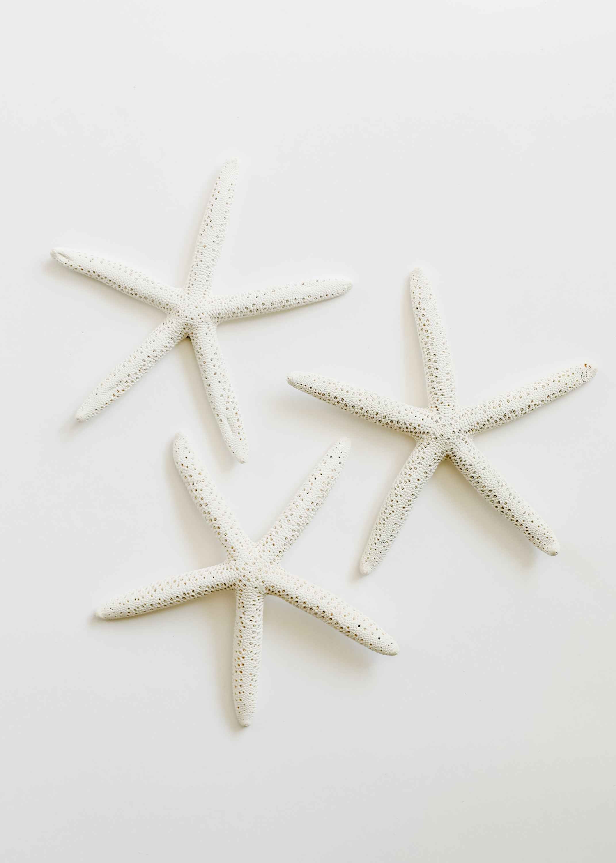 Starfish