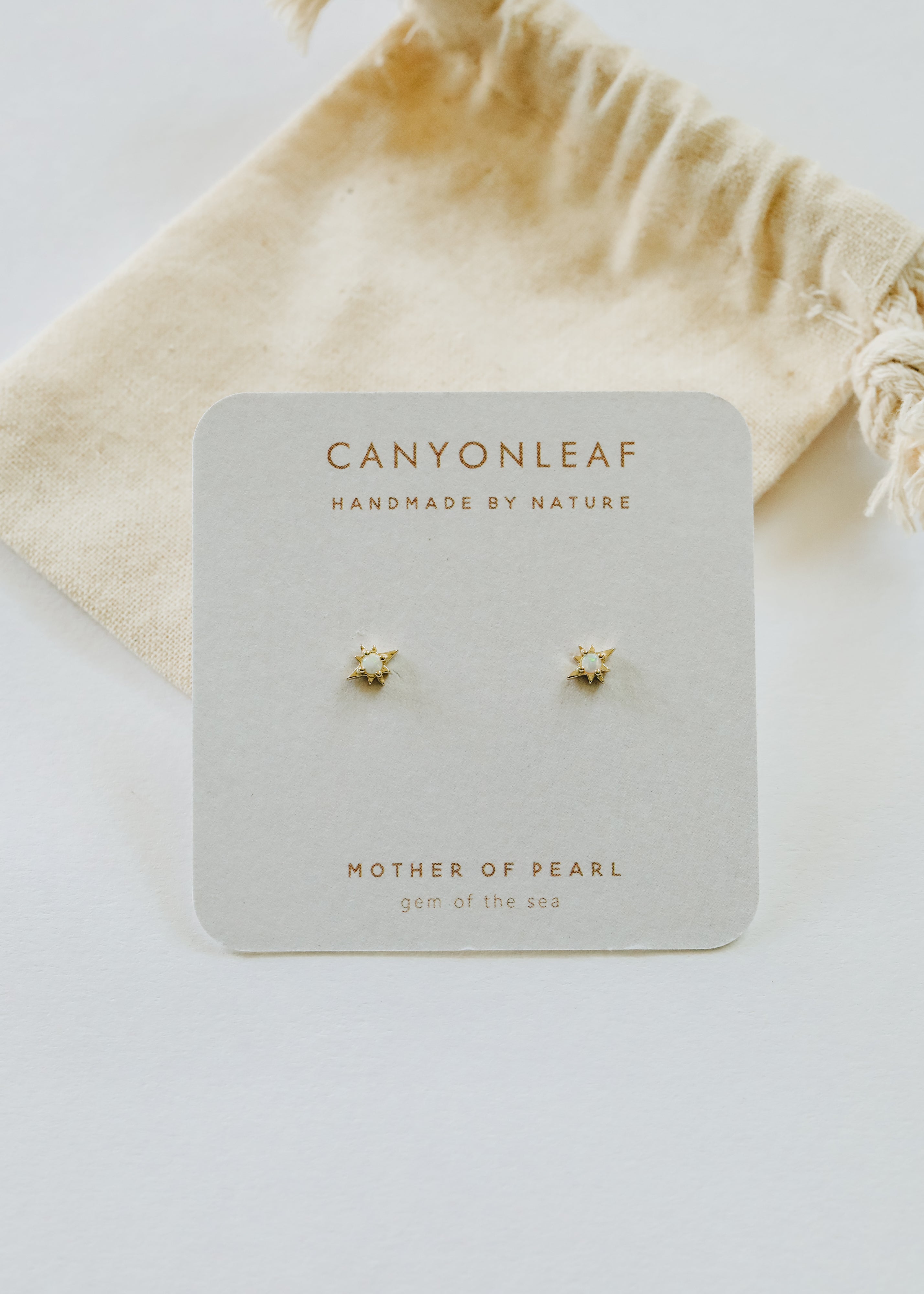 18K Gold Vermeil + Mother of Pearl Gemstone || Everyday Earrings by CanyonLeaf