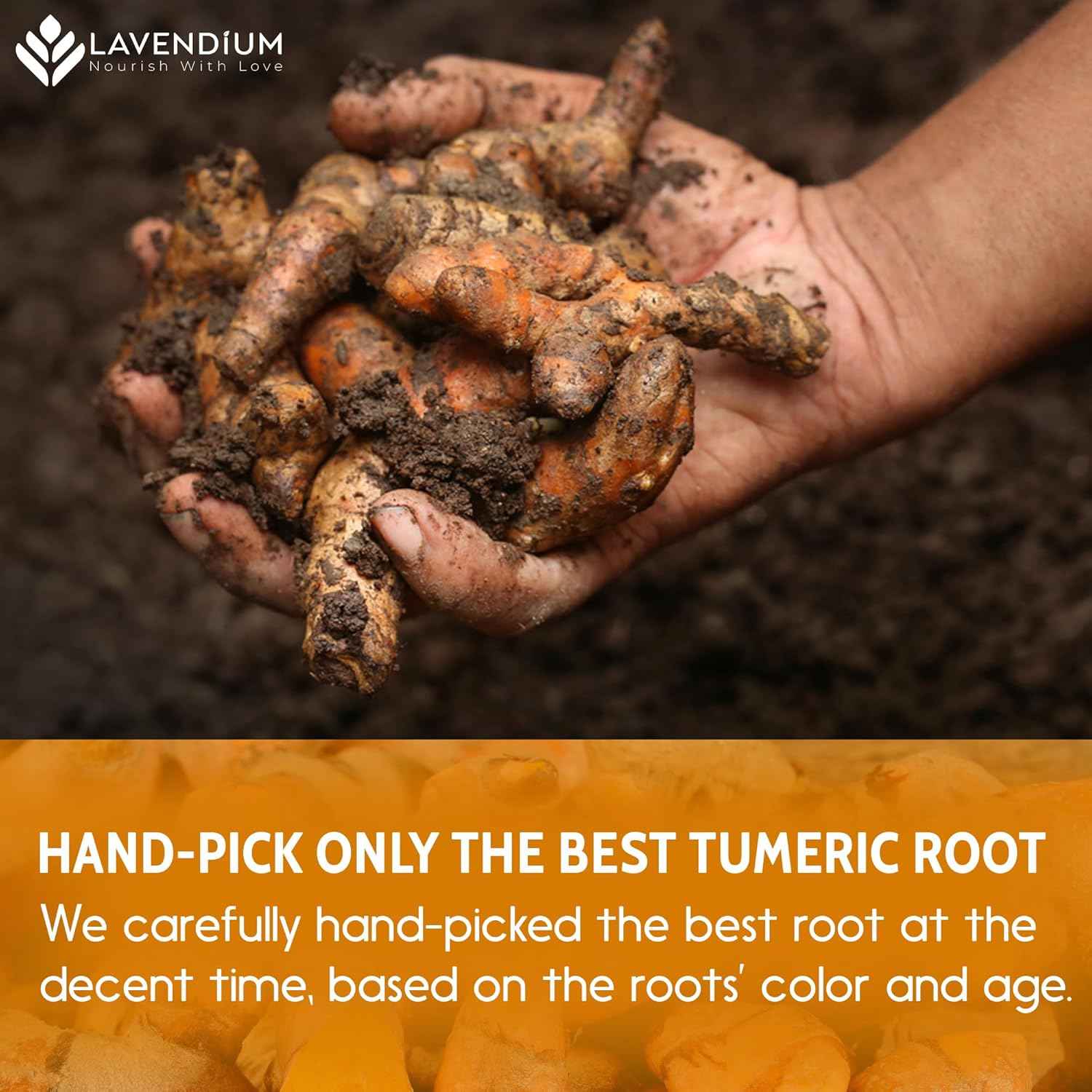 Turmeric Powder, 100% Natural & Pure, Ground, Seasoning Root Powder, No Additives, No Gluten, Vegan