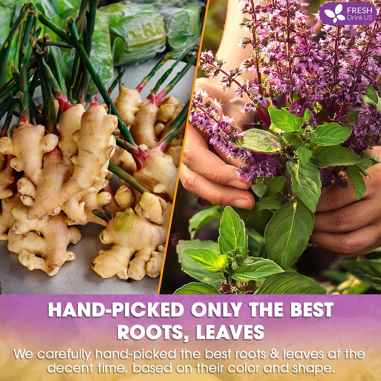 Premium Ginger Tulsi Tea Bags | Hand-made Blend of Ginger and Tulsi Holy Basil Leaves by FreshDrinkUS - Natural and Premium Herbal Tea