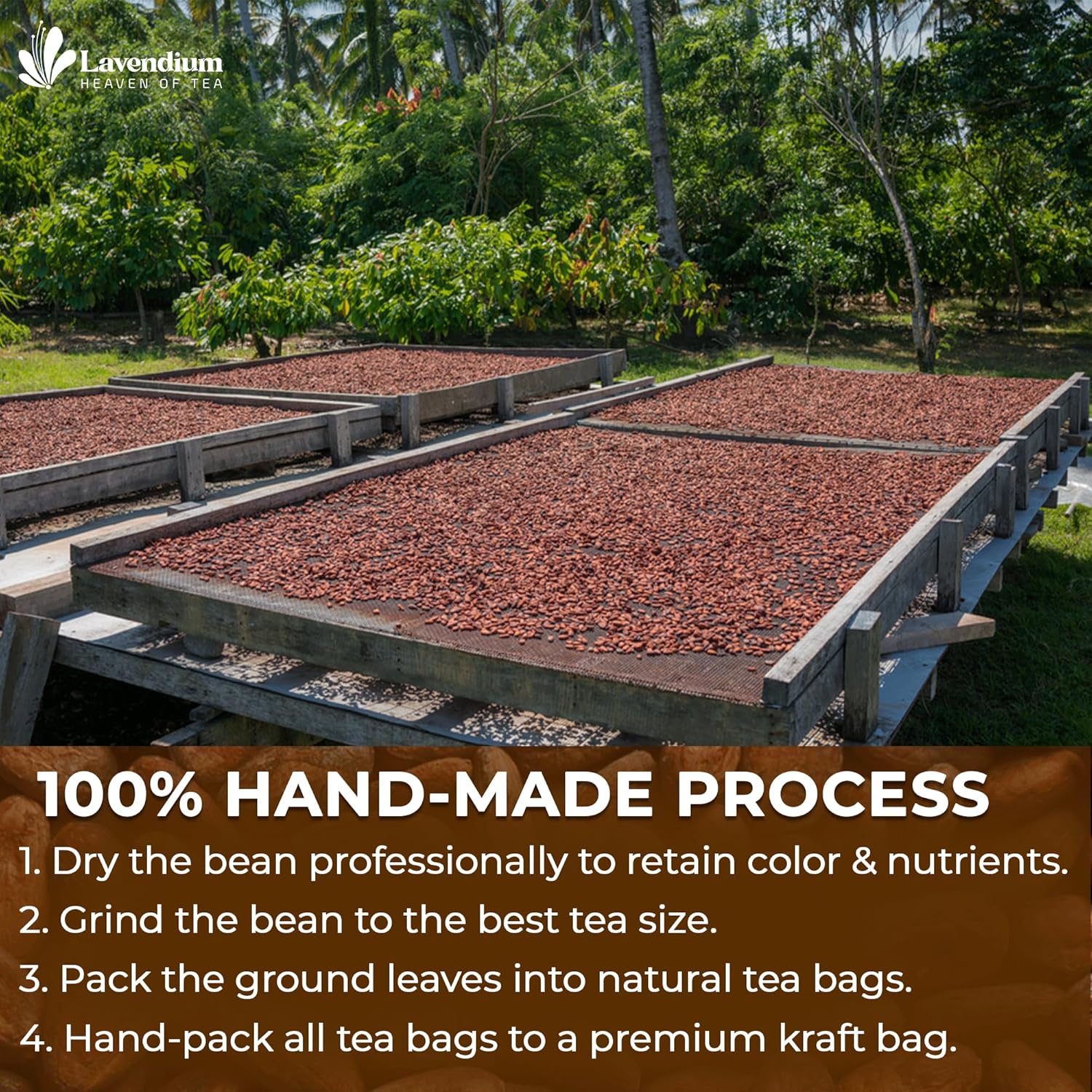 Cacao Powder, 25oz (1.56 lbs), 100% Natural & Pure, Unsweetened, Rich Chocolate Flavor, Perfect for Baking & Smoothies by FreshDrinkUS - Natural and Premium Herbal Tea