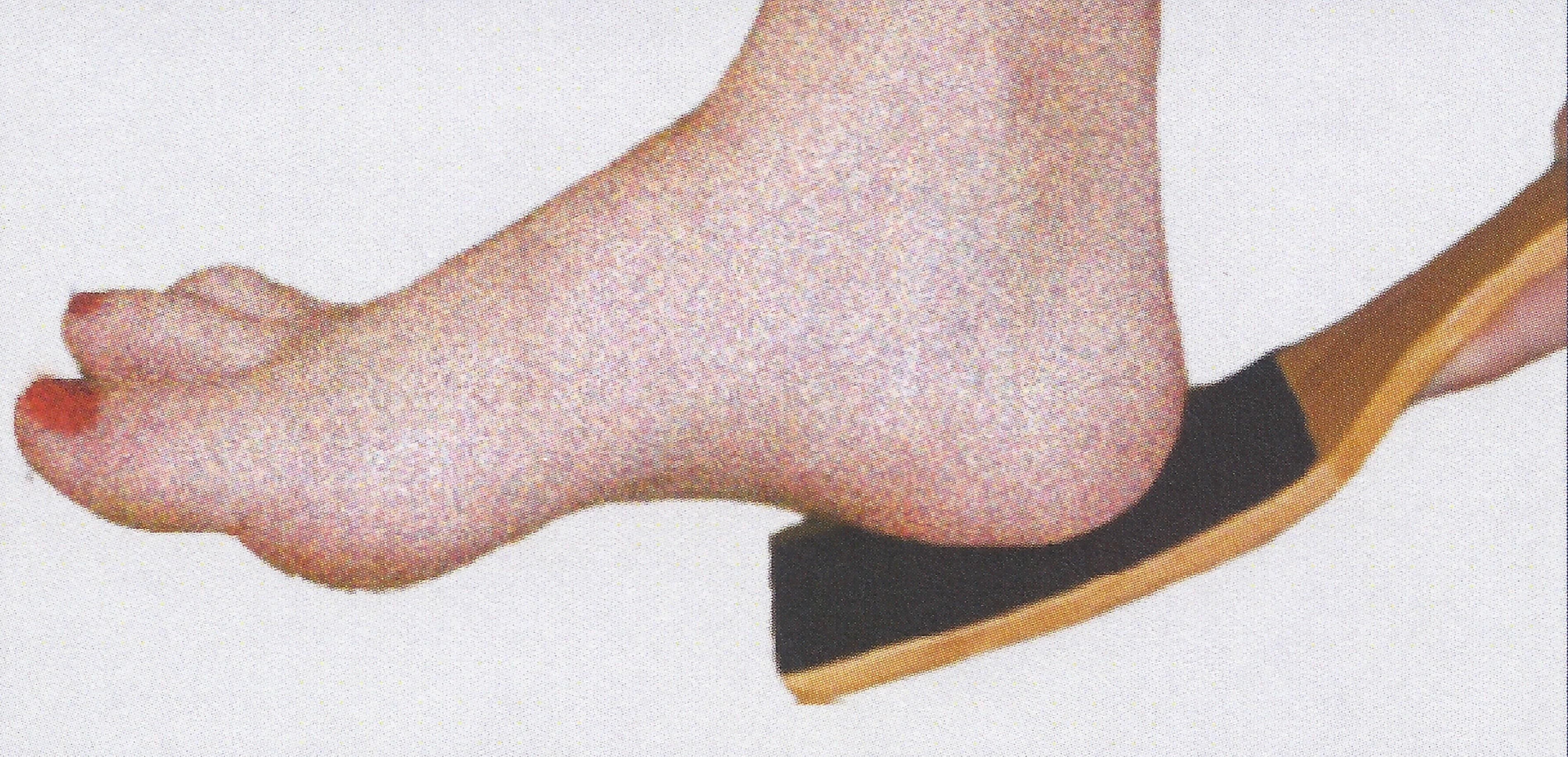 The Shappy Wavy Coarse Wooden Foot File