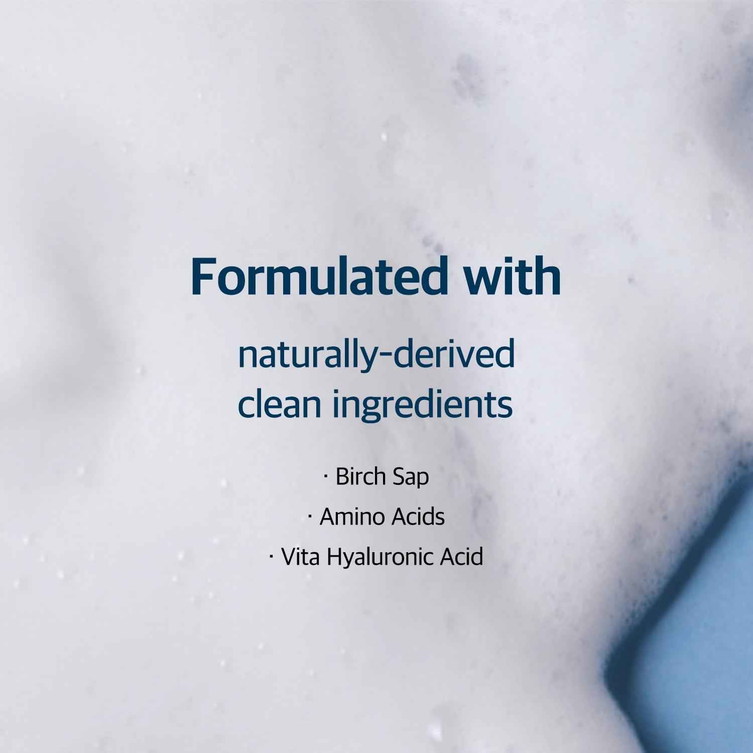 Round Lab Birch Juice Moisturizing Cleanser by AsiaBeautyMall