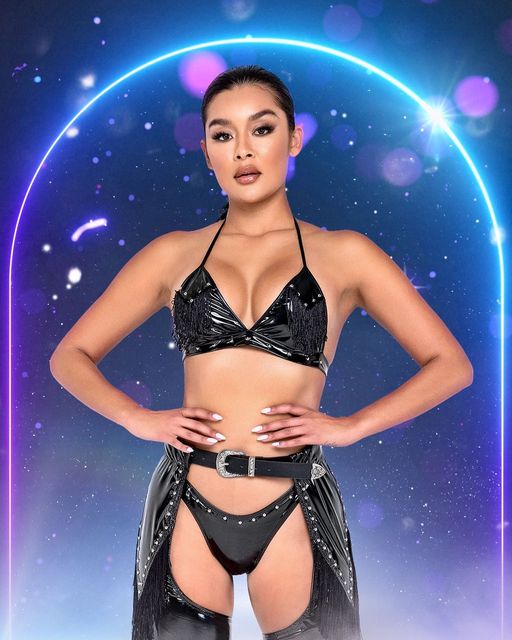 Studded Vinyl Chaps with Fringe Detail - DestGlow