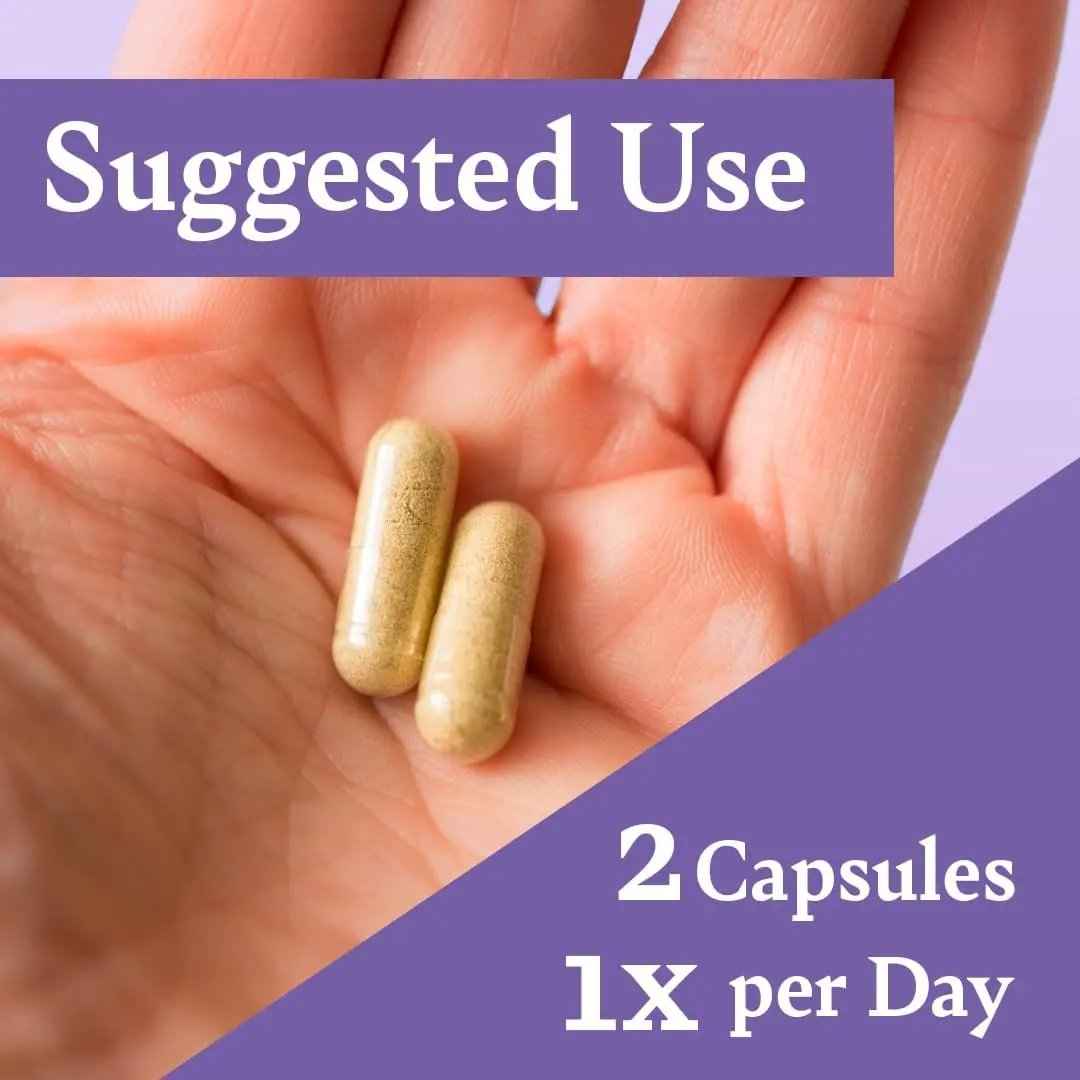 Liver Support with Milk Thistle — Herbal Wellness Supplement by Healthy Day Supplements