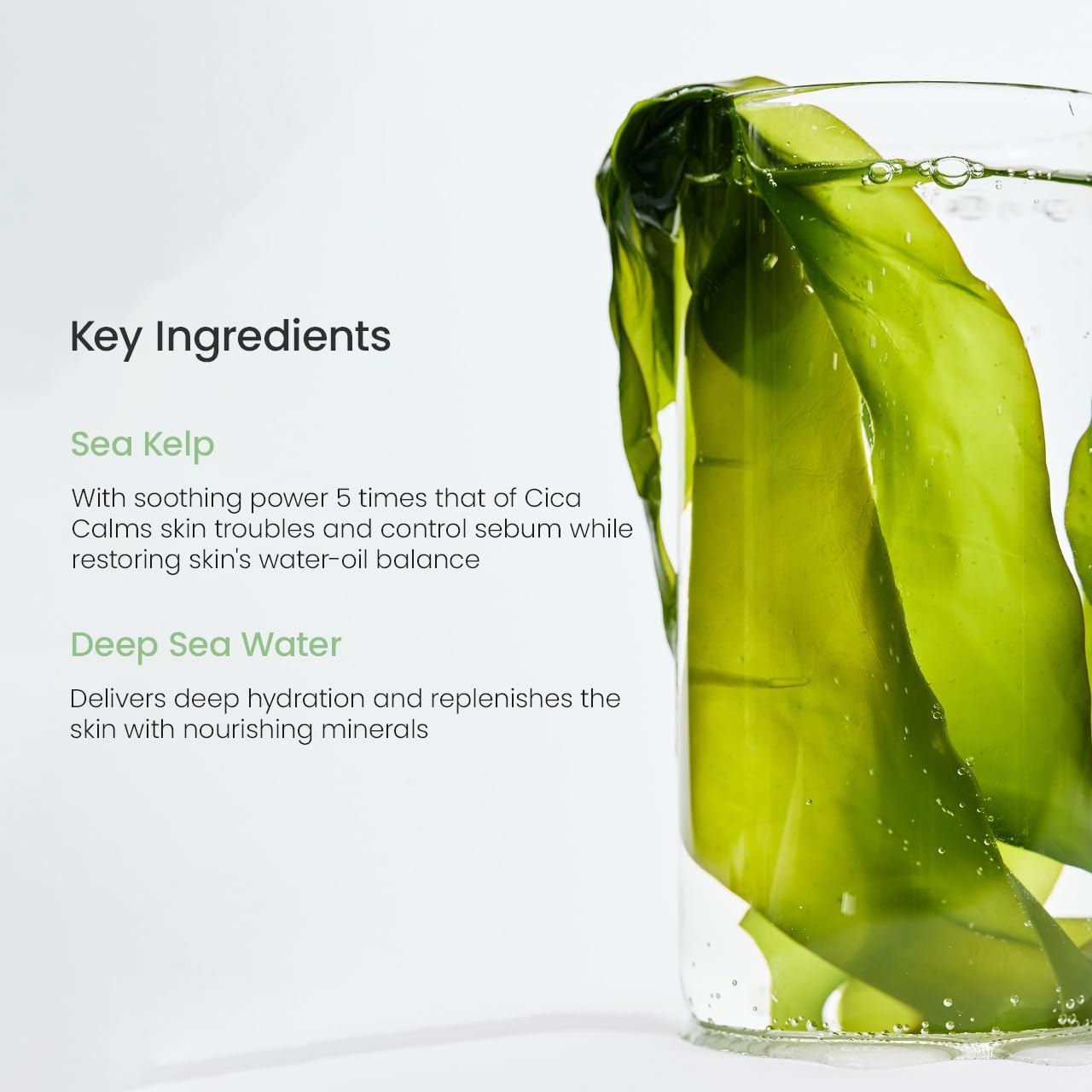 Biodance Refreshing Sea Kelp Real Deep Mask by AsiaBeautyMall