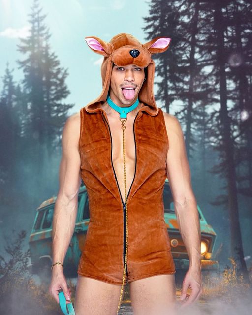 Mystery Pup Costume DestGlow