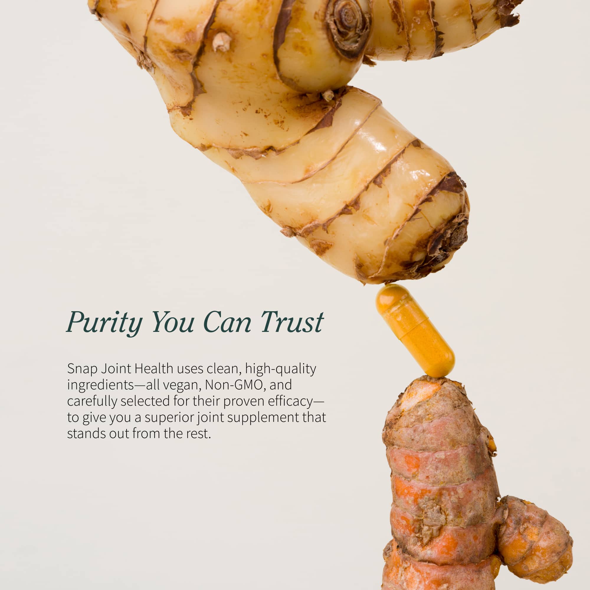 Joint Health by Snap Supplements