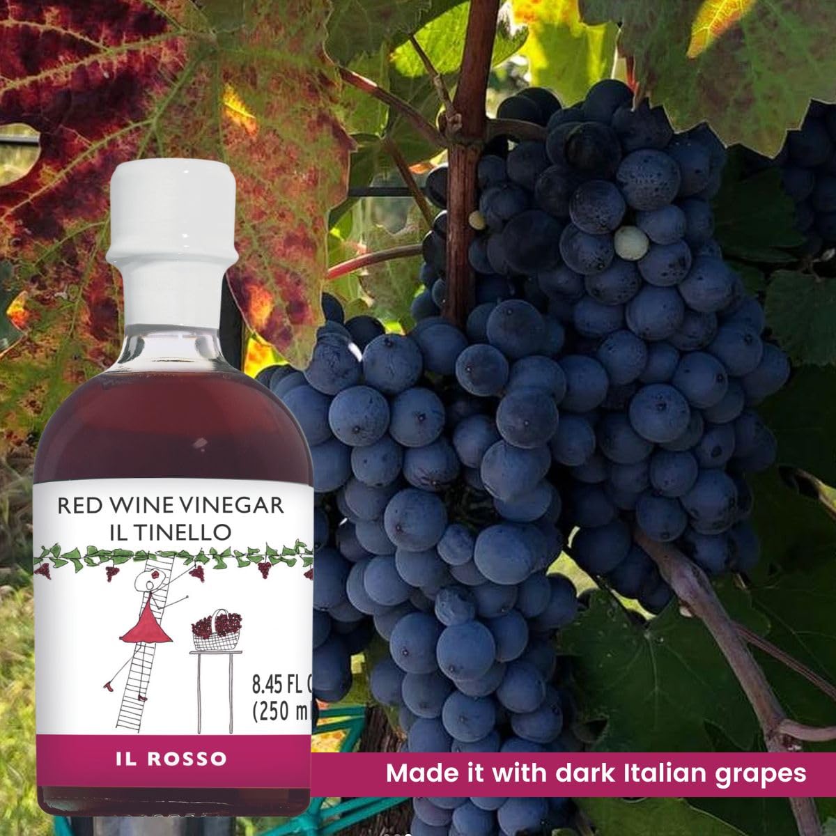 IL TINELLO, Red Wine Vinegar Aceto di Vino Rosso, (8.45 fl oz) 250ml