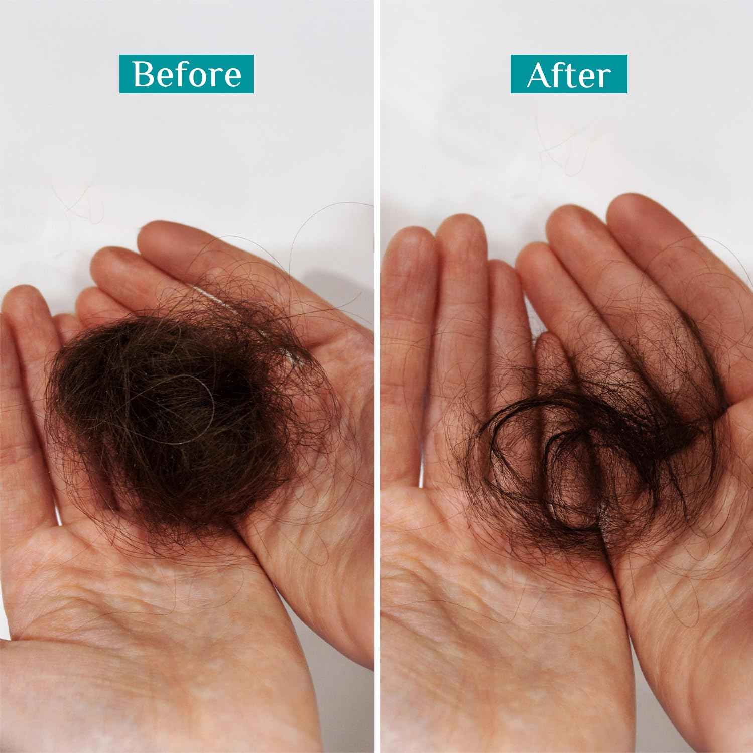 Pilgrim Spanish Rosemary Anti-Hairfall Shampoo (GTM)