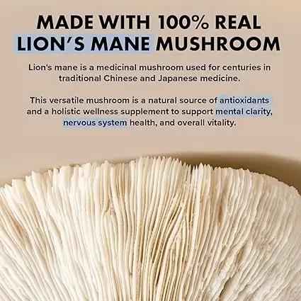 Lion’s Mane Mushroom Capsules – Supports Focus, Memory & Mental Clarity