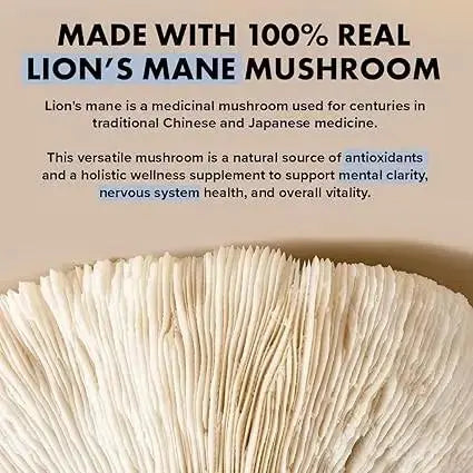 Lion’s Mane Mushroom Capsules – Supports Focus, Memory & Mental Clarity by Healthy Day Supplements