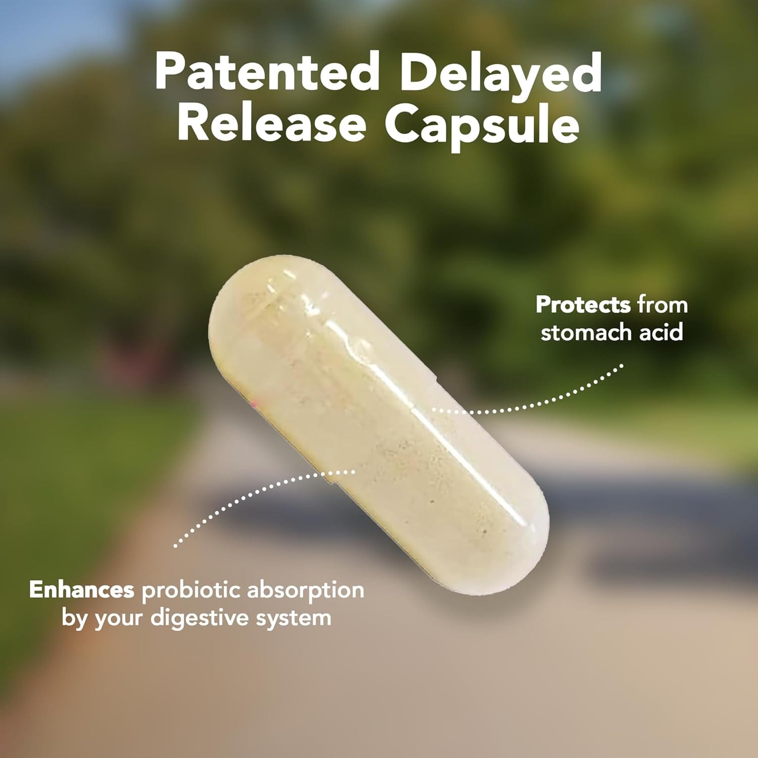 Pro-100 Probiotic - 100 Billion CFU with 13 Strains, Vitamin C & Zinc for Digestive & Immune Health - DestGlow