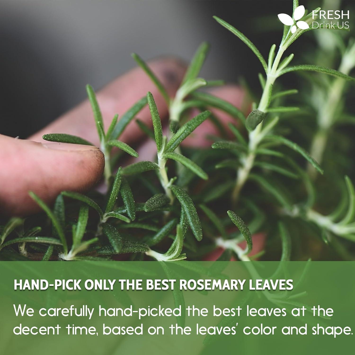 Premium Rosemary Leaves, Tea Bags, Powder, 100% Natural & Pure from Dried Rosemary Leaves, No Additives, No Caffeine, Vegan. Dried Rosemary Herb, Perfect for Seasoning, Spice Blends for Grilling & Cooking by FreshDrinkUS - Natural and Premium Herbal Tea