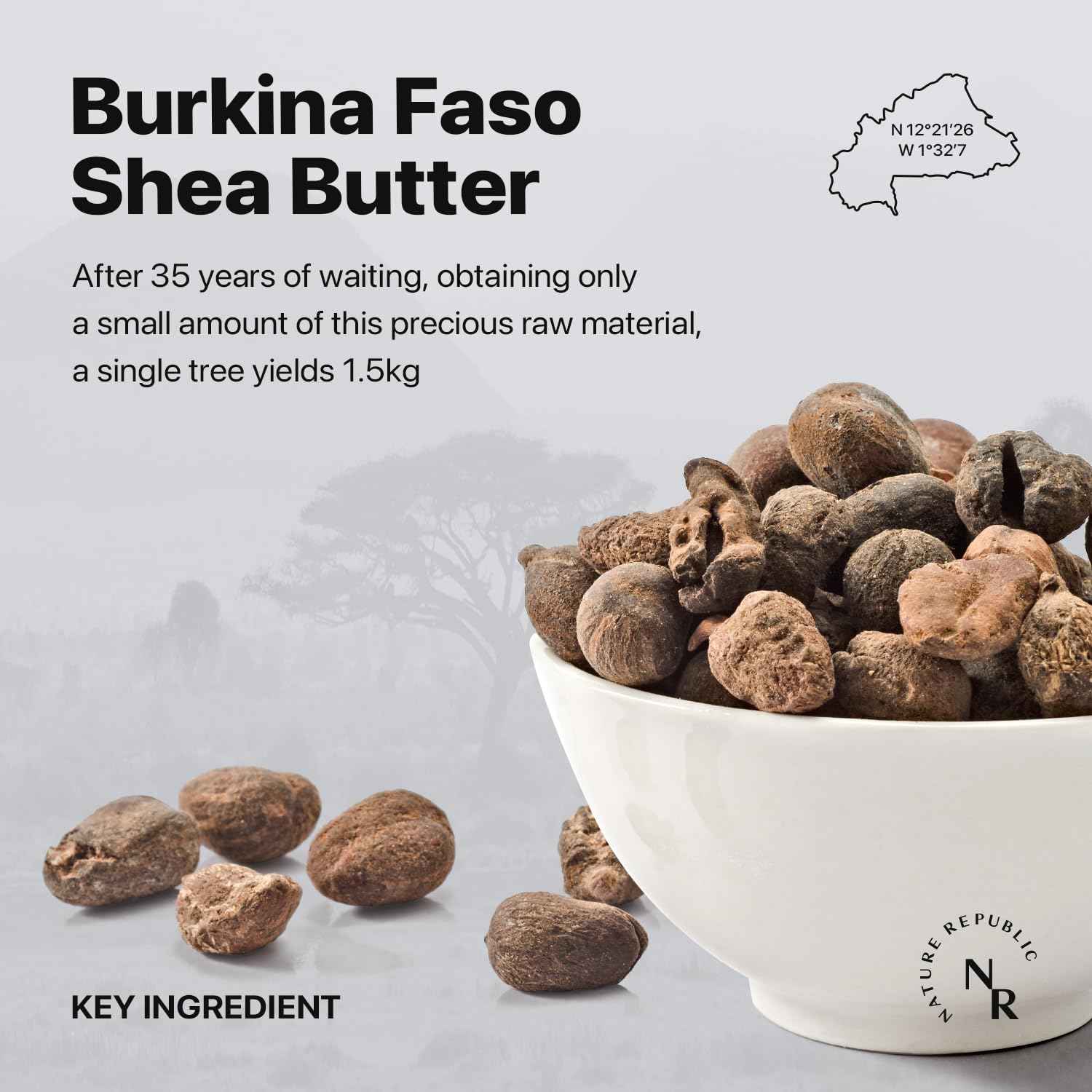 Nature Republic Shea Butter Fresh Steam Cream