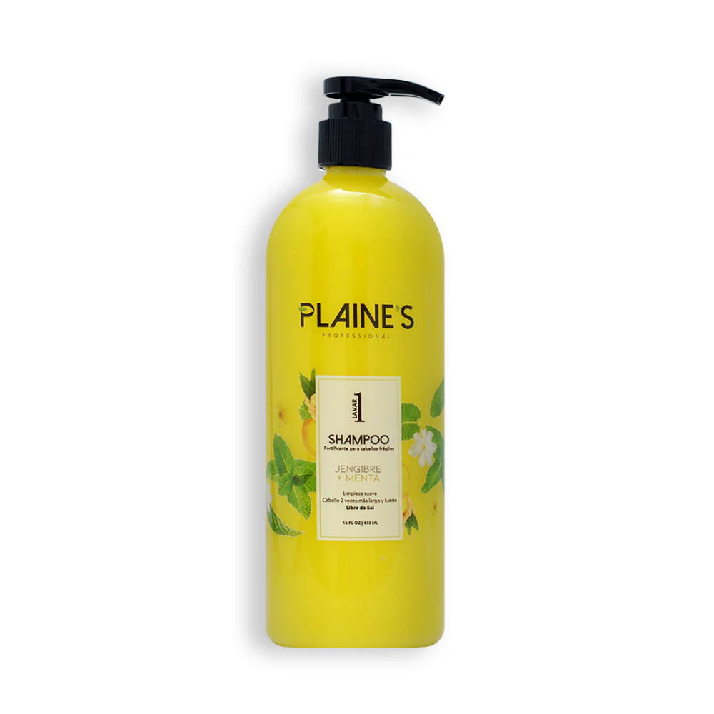 Plaine’s Professional Ginger & Mint Strengthening Shampoo (16.9 Fl Oz) DestGlow