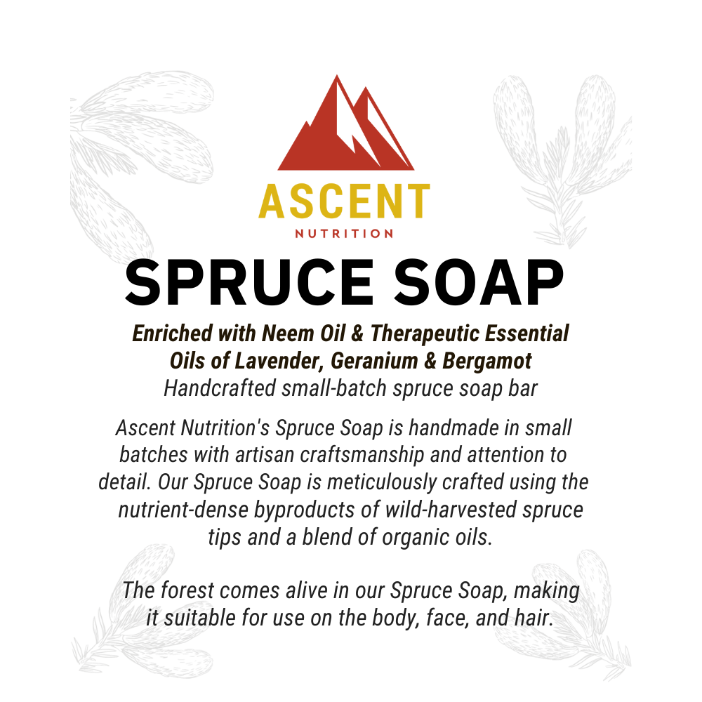 Wild-Harvested Spruce Soap, 6 oz Bar DestGlow