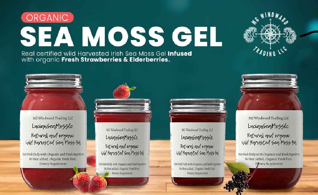 Aloe Vera Infused Organic Sea Moss Gel